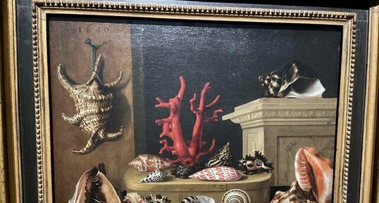 Nature morte aux coquillages et au corail